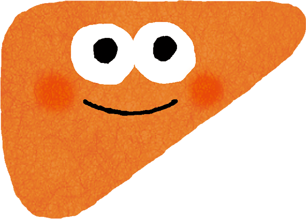 トップページ（イラスト）肝臓の図